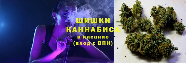 кокс Арсеньев